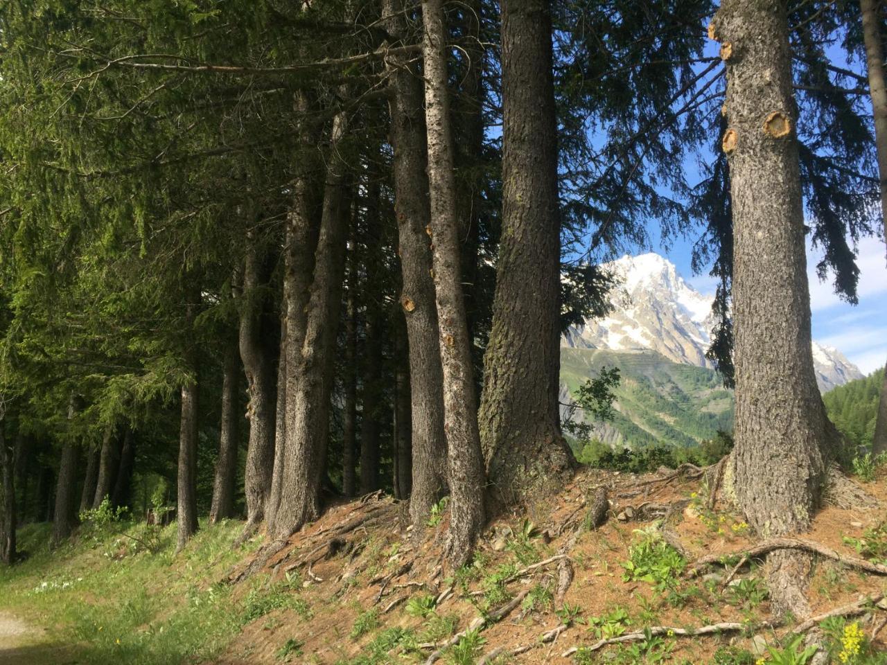 Hobo Camping Courmayeur Extérieur photo